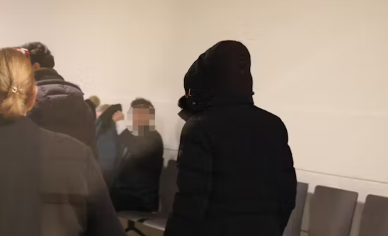 Суд в Австрии оправдал сирийского мигранта, изнасиловавшего 12-летнюю девочку
