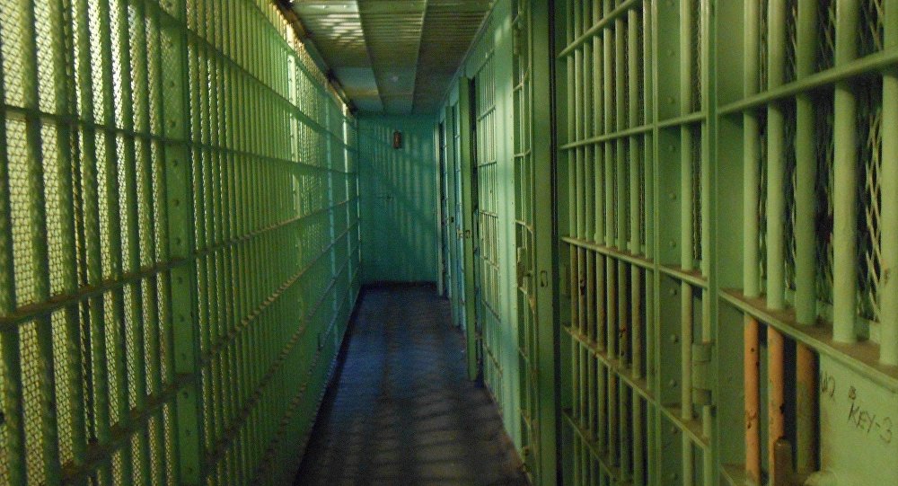 В Челябинске наркоторговцу из Таджикистана дали 8 лет тюрьмы  