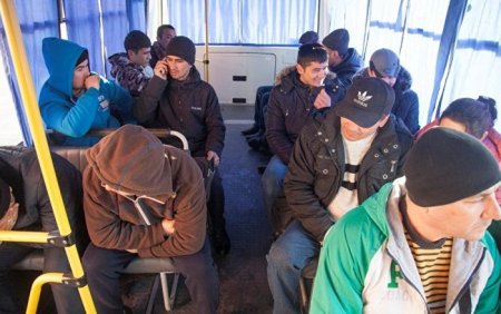 МИД России сообщил, когда будет принят глобальный договор по миграции