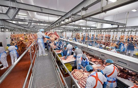 В Нижегородской области РФ депутат устроил к себе на мясокомбинат нелегалов из Узбекистана вместе их с детьми