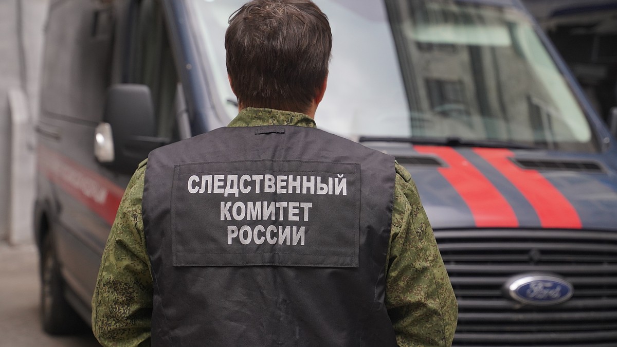 В Самарской области РФ школьная ссора детей переросла в межнациональный конфликт с избиением мигрантами двух мужчин